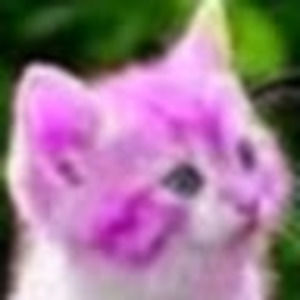 Meet your Posher, Alexandria